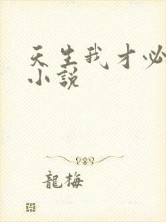 天生我才必有用小说