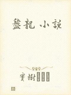 盘龙 小说