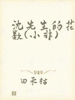 沈先生的花式调数(小非)