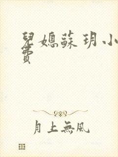 儿媳苏玥小说免费