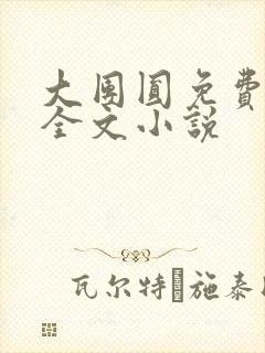 大团圆免费阅读全文小说