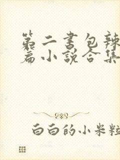 第二书包辣网短篇小说合集