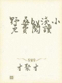 野桑by浅小说免费阅读