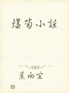 爆菊小说
