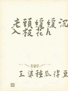 老头缓缓沉腰进入校花h