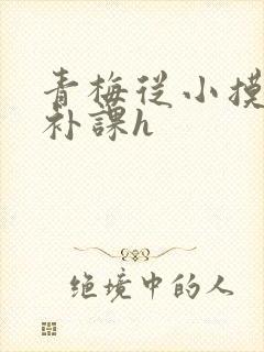 青梅从小摸到大补课h