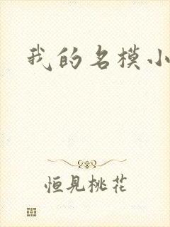 我的名模小娇妻