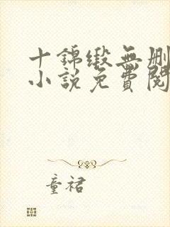 十锦缎无删原著小说免费阅读