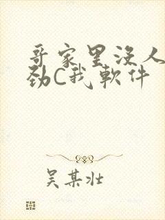 哥家里没人使点劲C我软件