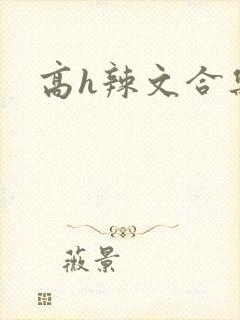 高h辣文合集