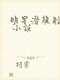 明星潜规则之皇 小说