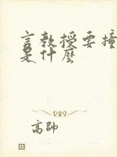 言教授要撞坏了是什么