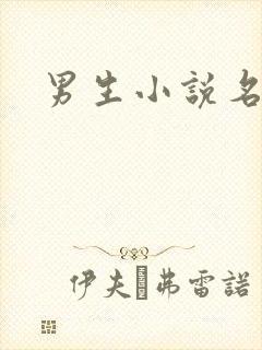 男生小说名字