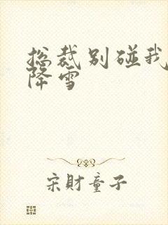 总裁别碰我 韩降雪