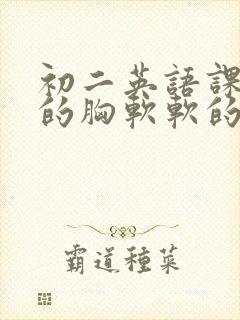 初二英语课代表的胸软软的