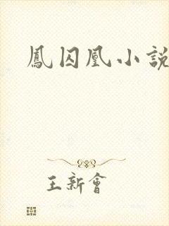 凤囚凰小说