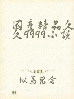 国产精品久久久久9999小说