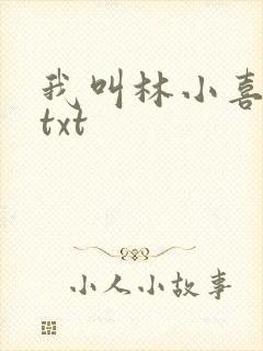 我叫林小喜小说txt