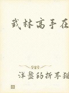 武林高手在异界