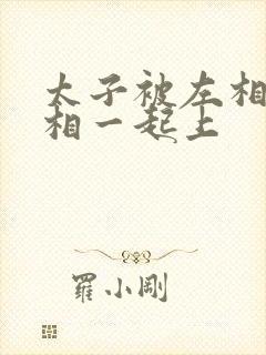 太子被左相和右相一起上