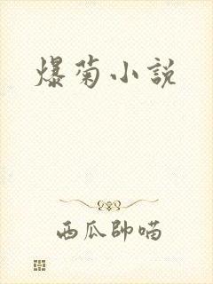 爆菊小说