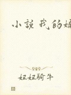 小说 我的娇妻