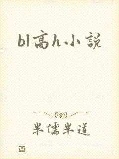 bl高h小说