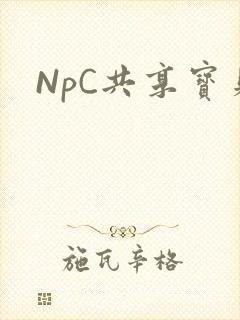 NpC共享宝贝