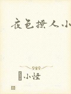 夜色撩人小说