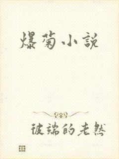 爆菊小说