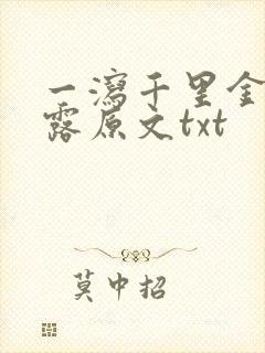 一泻千里金银花露原文txt