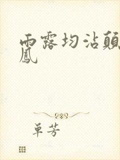 雨露均沾颠鸾倒凤