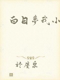 白日梦我小说
