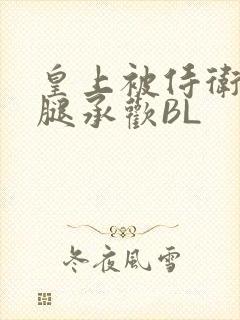 皇上被侍卫抵开腿承欢BL