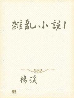 杂乱小说1