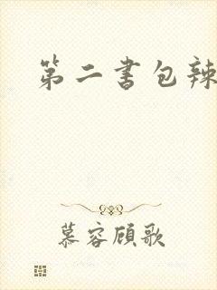 第二书包辣文