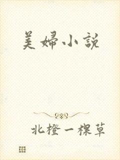 美妇小说
