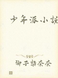 少年派小说