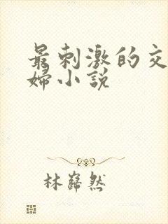 最刺激的交换夫妇小说