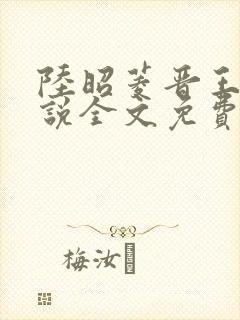 陆昭菱晋王的小说全文免费阅读