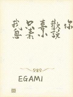 我只喜欢你的信息素小说