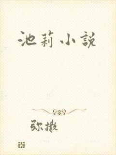 池莉小说