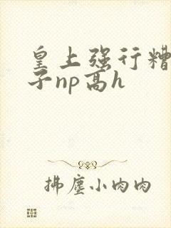 皇上强行糟蹋太子np高h