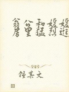 翁公和媛媛在厨房里猛烈进出