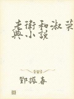 老卫和淑荣的经典小说