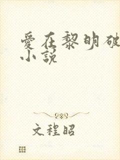 爱在黎明破晓前小说