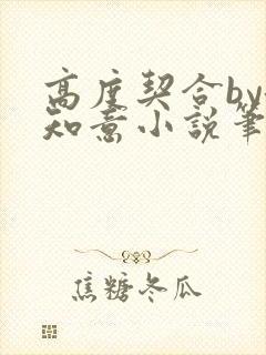 高度契合by洛知意小说笔趣阁无弹窗