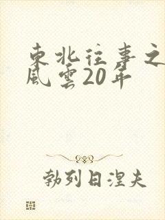 东北往事之黑道风云20年