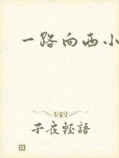 一路向西小说
