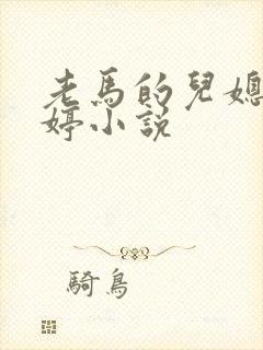 老马的儿媳顾婉婷小说